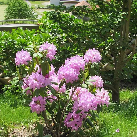 Haus Rinner *